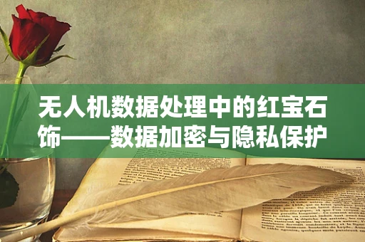 无人机数据处理中的红宝石饰——数据加密与隐私保护的微妙平衡