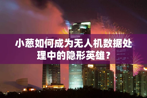 小葱如何成为无人机数据处理中的隐形英雄？