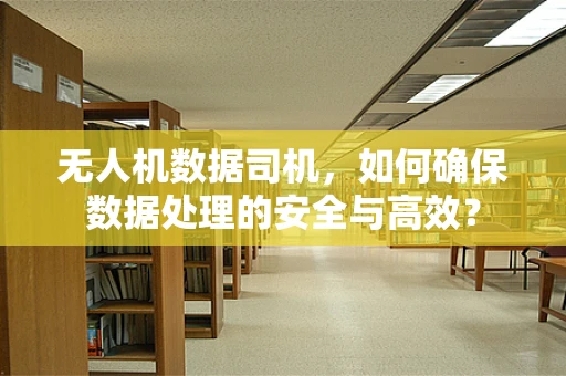 无人机数据司机，如何确保数据处理的安全与高效？