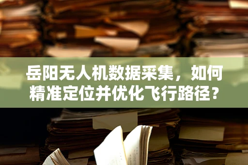 岳阳无人机数据采集，如何精准定位并优化飞行路径？
