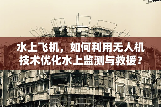 水上飞机，如何利用无人机技术优化水上监测与救援？