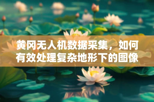 黄冈无人机数据采集，如何有效处理复杂地形下的图像信息？