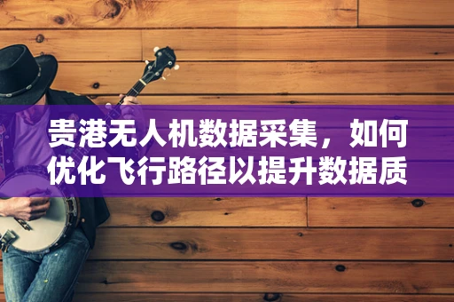 贵港无人机数据采集，如何优化飞行路径以提升数据质量？