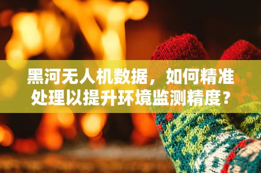 黑河无人机数据，如何精准处理以提升环境监测精度？