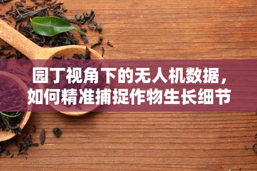 园丁视角下的无人机数据，如何精准捕捉作物生长细节？