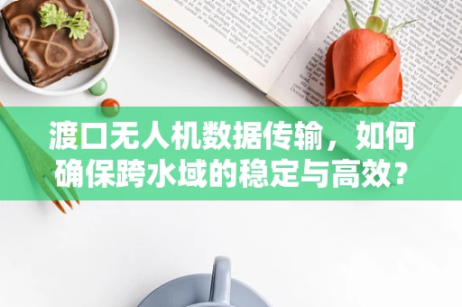 渡口无人机数据传输，如何确保跨水域的稳定与高效？