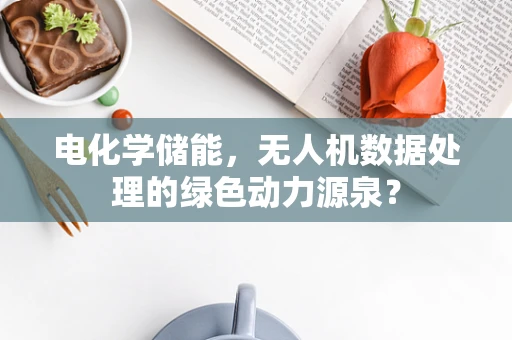 电化学储能，无人机数据处理的绿色动力源泉？