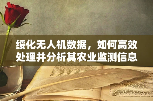 绥化无人机数据，如何高效处理并分析其农业监测信息？