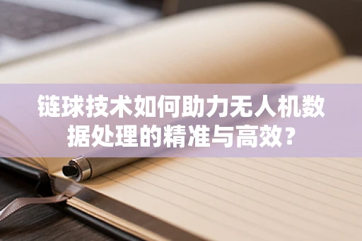 链球技术如何助力无人机数据处理的精准与高效？