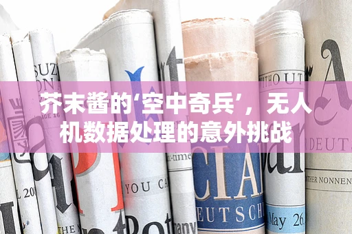 芥末酱的‘空中奇兵’，无人机数据处理的意外挑战