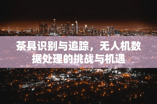 茶具识别与追踪，无人机数据处理的挑战与机遇