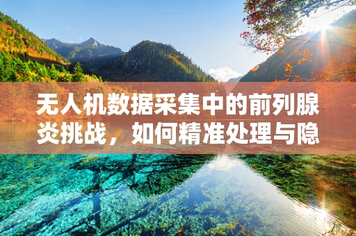 无人机数据采集中的前列腺炎挑战，如何精准处理与隐私保护的平衡？