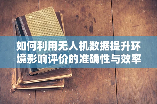 如何利用无人机数据提升环境影响评价的准确性与效率？