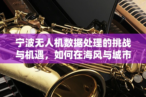 宁波无人机数据处理的挑战与机遇，如何在海风与城市喧嚣中精准导航？