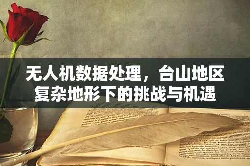 无人机数据处理，台山地区复杂地形下的挑战与机遇