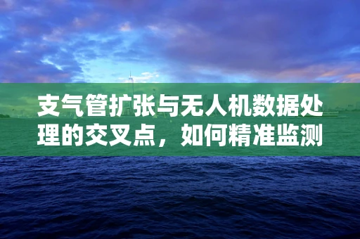 支气管扩张与无人机数据处理的交叉点，如何精准监测与评估？