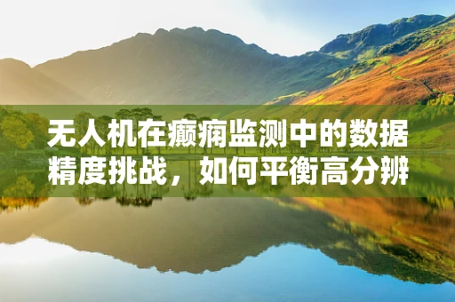 无人机在癫痫监测中的数据精度挑战，如何平衡高分辨率与隐私保护？