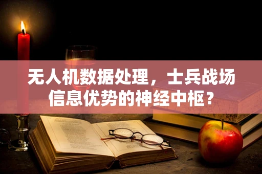 无人机数据处理，士兵战场信息优势的神经中枢？
