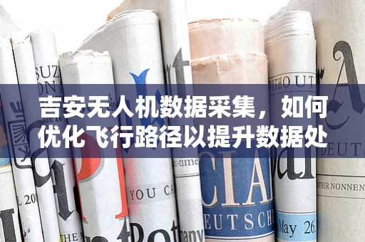 吉安无人机数据采集，如何优化飞行路径以提升数据处理效率？