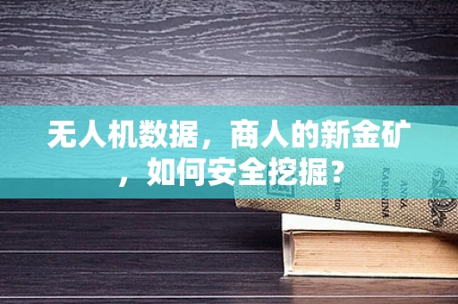 无人机数据，商人的新金矿，如何安全挖掘？