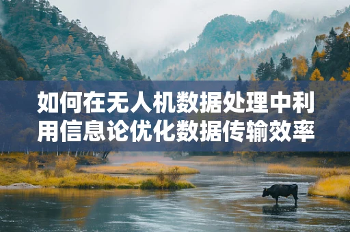 如何在无人机数据处理中利用信息论优化数据传输效率？