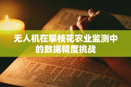 无人机在攀枝花农业监测中的数据精度挑战
