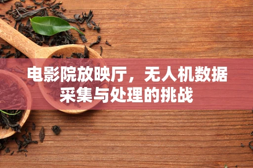 电影院放映厅，无人机数据采集与处理的挑战