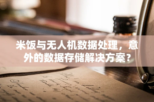 米饭与无人机数据处理，意外的数据存储解决方案？
