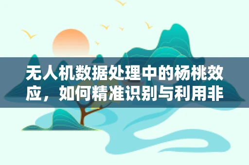 无人机数据处理中的杨桃效应，如何精准识别与利用非典型特征？