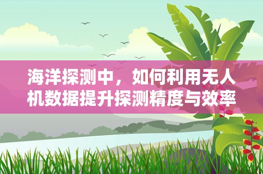 海洋探测中，如何利用无人机数据提升探测精度与效率？