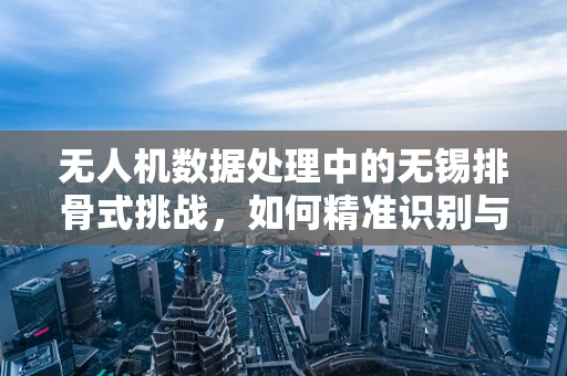 无人机数据处理中的无锡排骨式挑战，如何精准识别与分离？