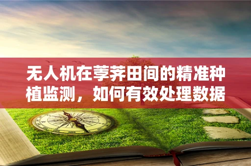无人机在荸荠田间的精准种植监测，如何有效处理数据以优化种植决策？