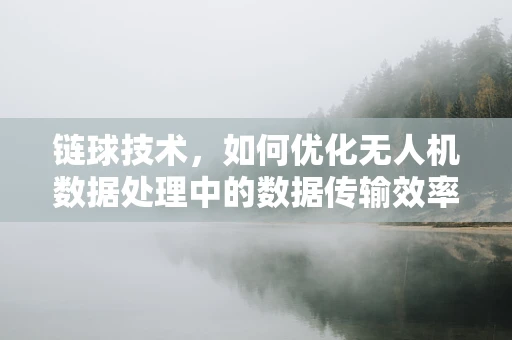 链球技术，如何优化无人机数据处理中的数据传输效率？