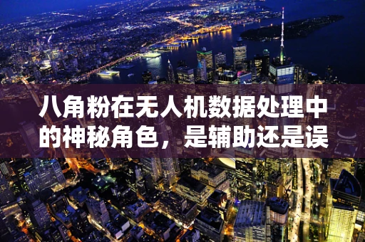 八角粉在无人机数据处理中的神秘角色，是辅助还是误导？