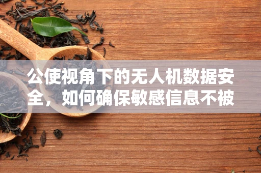 公使视角下的无人机数据安全，如何确保敏感信息不被泄露？