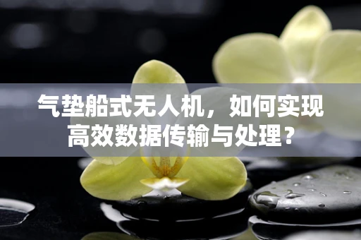 气垫船式无人机，如何实现高效数据传输与处理？