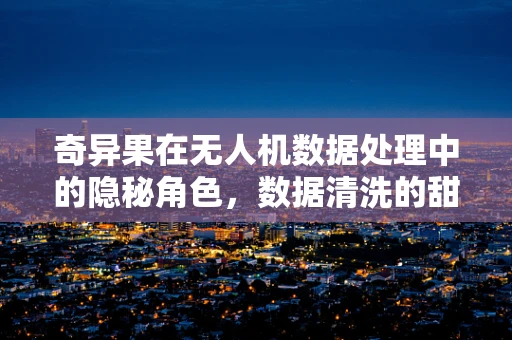 奇异果在无人机数据处理中的隐秘角色，数据清洗的甜蜜挑战