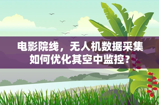 电影院线，无人机数据采集如何优化其空中监控？