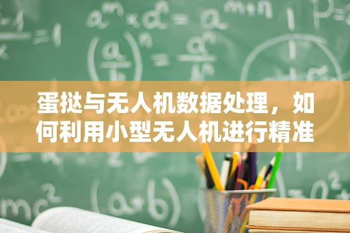 蛋挞与无人机数据处理，如何利用小型无人机进行精准农业监测？