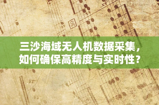 三沙海域无人机数据采集，如何确保高精度与实时性？
