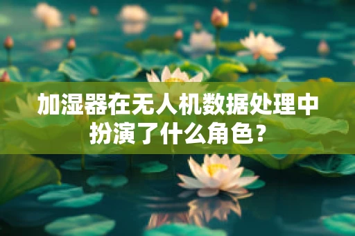 加湿器在无人机数据处理中扮演了什么角色？