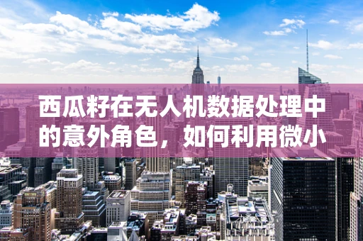 西瓜籽在无人机数据处理中的意外角色，如何利用微小种子优化飞行路径？