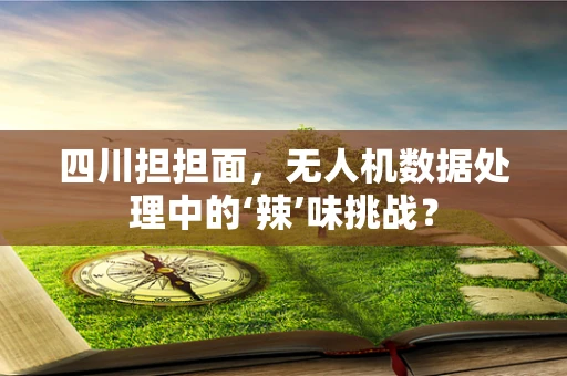 四川担担面，无人机数据处理中的‘辣’味挑战？