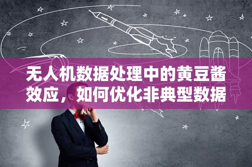 无人机数据处理中的黄豆酱效应，如何优化非典型数据集的算法性能？