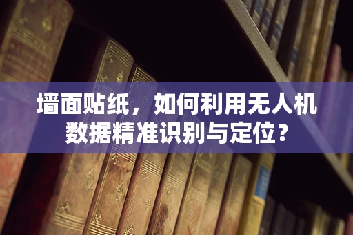 墙面贴纸，如何利用无人机数据精准识别与定位？