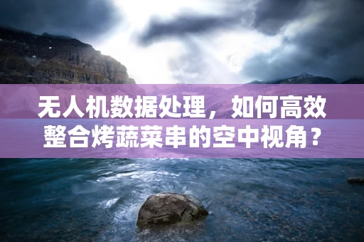 无人机数据处理，如何高效整合烤蔬菜串的空中视角？