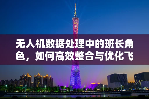 无人机数据处理中的班长角色，如何高效整合与优化飞行数据？