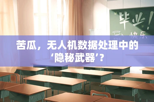 苦瓜，无人机数据处理中的‘隐秘武器’？