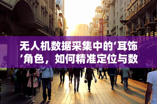 无人机数据采集中的‘耳饰’角色，如何精准定位与数据优化？