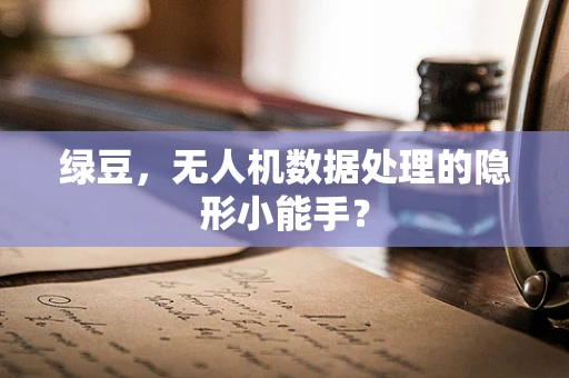 绿豆，无人机数据处理的隐形小能手？